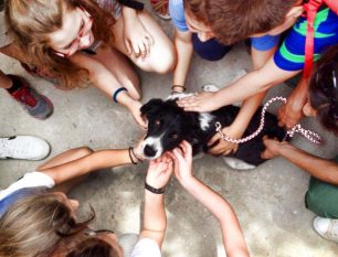 Οι μαθητές της Πάρου διδάσκονται την αγάπη για τα ζώα: Από τη θεωρία στην πράξη!
